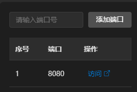 端口隧道