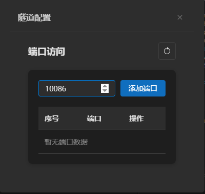 右上角进行端口隧道访问